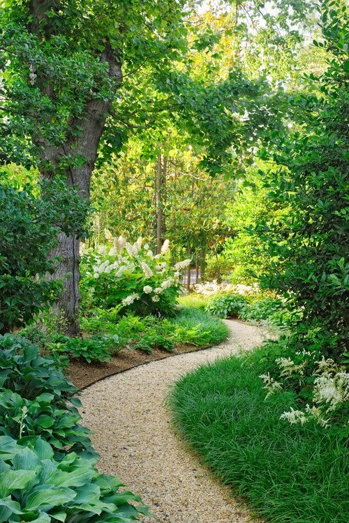 Imagen de El jardín de tus sueños para la casa de tus sueños en Canexel camino jardin verde