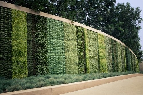 Imagen de El jardín de tus sueños para la casa de tus sueños en Canexel jardin vertical