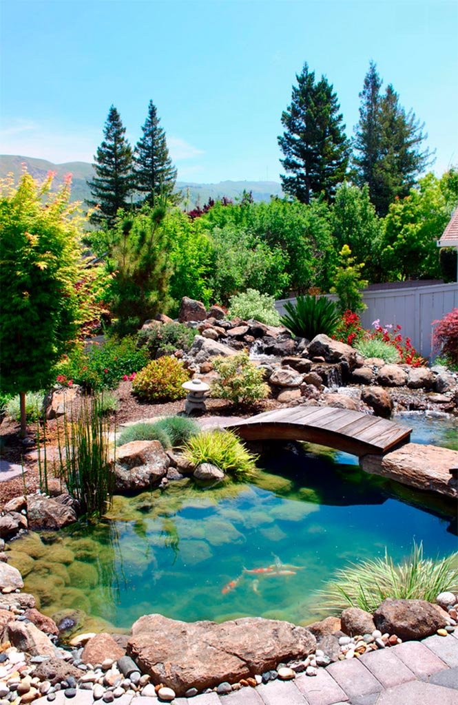 Imagen de Jardines acuáticos, un lujo para los sentidos en Canexel Jardín con estanque
