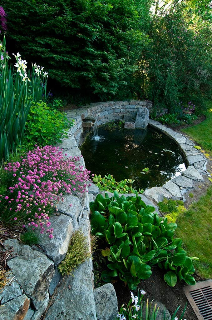 Imagen de Jardines acuáticos, un lujo para los sentidos en Canexel Jardín con fuente