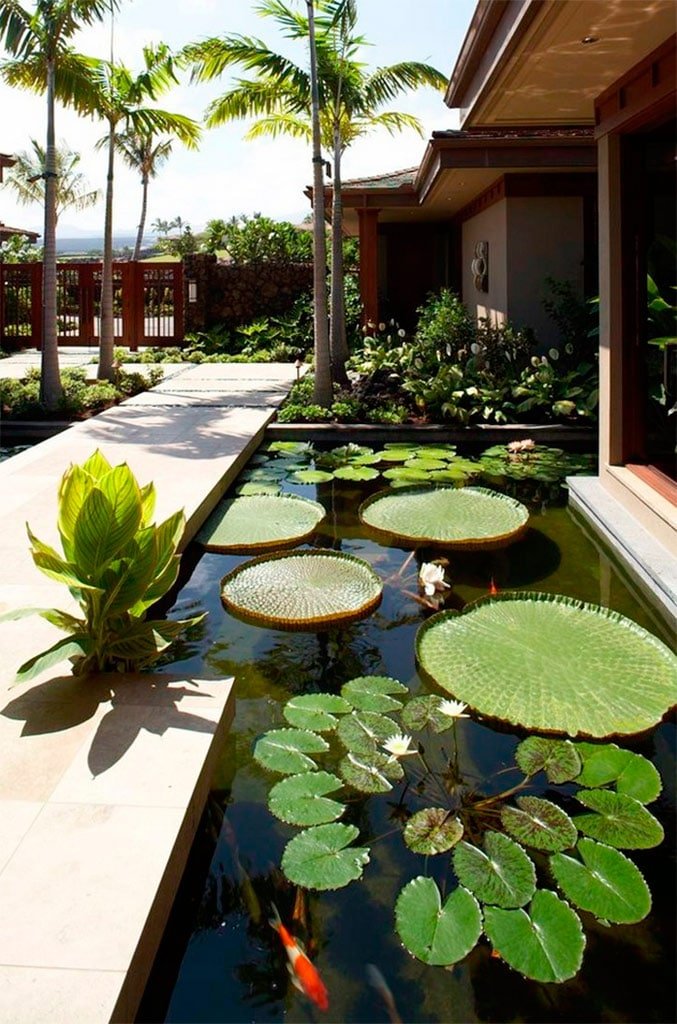 Imagen de Jardines acuáticos, un lujo para los sentidos en Canexel Jardín con nenúfares