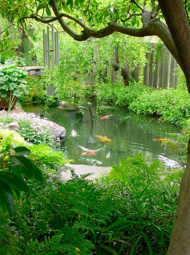 Imagen de Jardines acuáticos, un lujo para los sentidos en Canexel jardín con estanque con peces