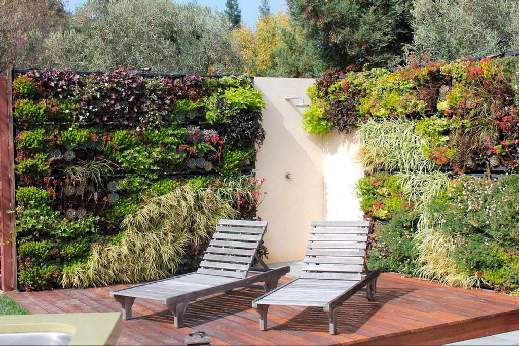 Imagen de Jardines verticales, una alternativa diferente en Canexel muros verdes