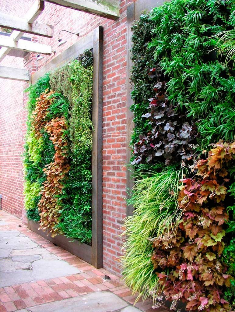 Imagen de Jardines verticales, una alternativa diferente en Canexel pared de cultivo en patio